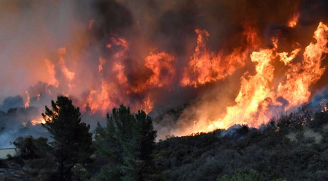 Ülkemizde Her Yıl Ortalama 4.000 Yangında 10 Bin Hektar Orman Alanı Zarar Görüyor!!